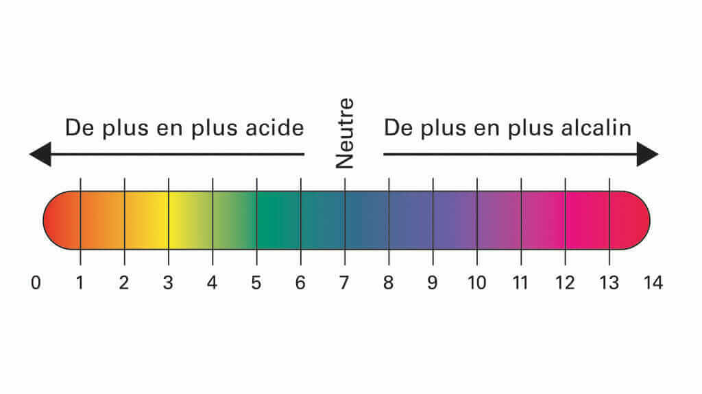 Namaste Naturo - Coaching Santé et Bien-Être