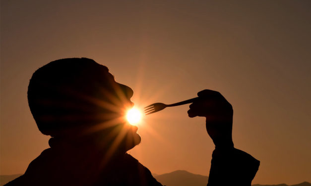 Longtemps vantée pour la santé des os, la vitamine D nous protège des maladies cardiovasculaires, du risque de diabète, de certains cancers, etc. Pas une semaine ne passe sans qu'une étude nous confirme son importance. Nous vous dévoilons tout sur cette vitamine.