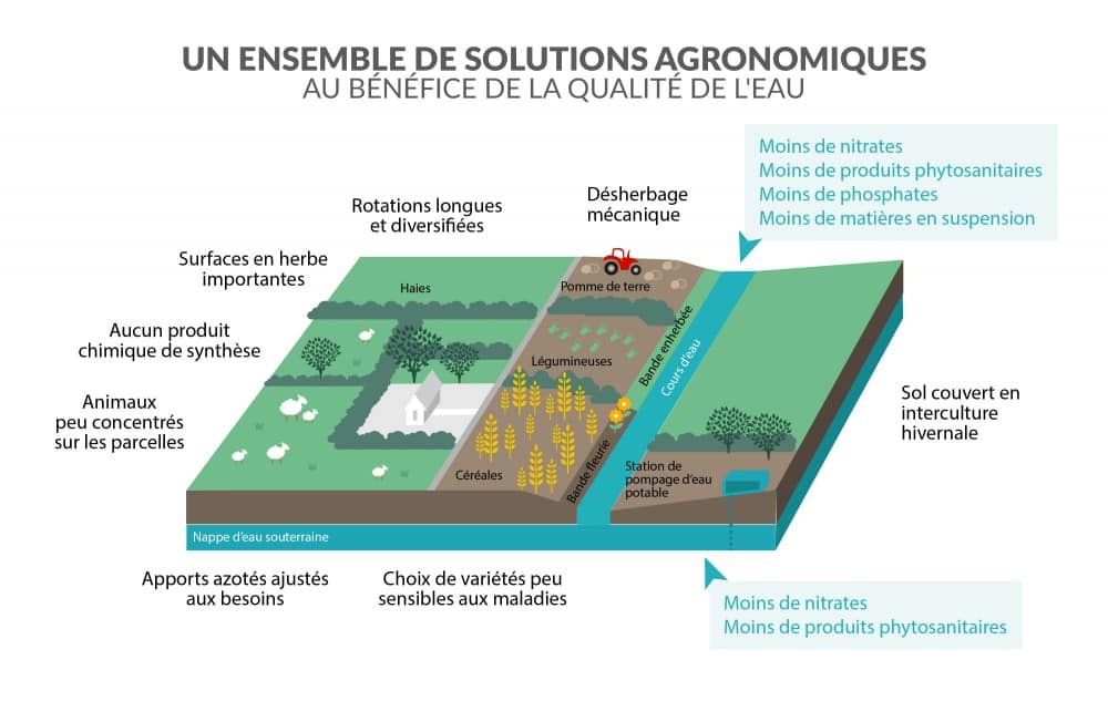 Eau secours ! Notre santé et celle de la planète en jeu 2 eau Namaste Naturo - Coaching Santé et Bien-Être