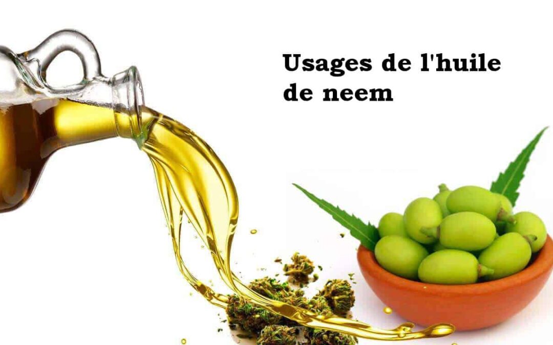 5 utilisations de l’huile de neem
