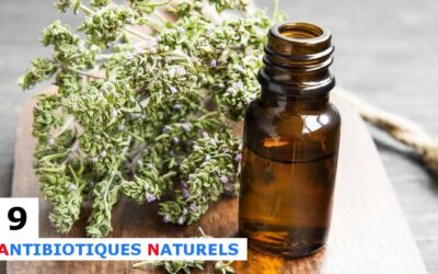 9 antibiotiques naturels qui tuent les bactéries dans votre corps