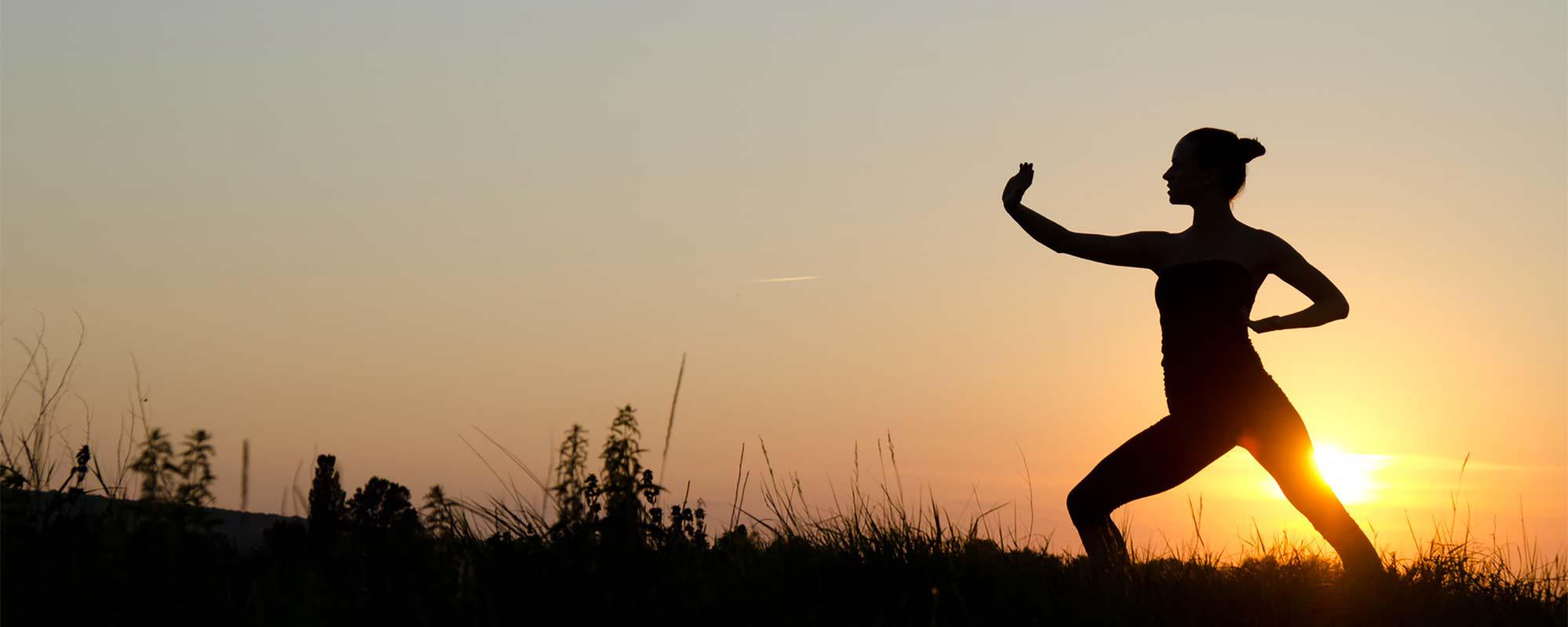 Tai chi (ou taiji) Qi Gong Shibashi Le Tai Ji Qi Gong appartient à la lignée des Qi Gong Yang Sheng « Qi Gong pour nourrir la vie ». Shibashi signifie « 18 mouvements » en chinois. Cette première série inspirée de mouvements de Tai chi chuan style Yang (Tai…
