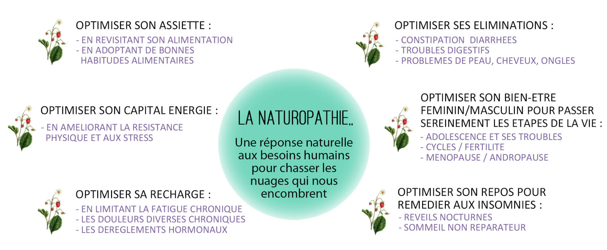 Qu'est-ce que la naturopathie ? 3 naturopathie Namaste Naturo - Coaching Santé et Bien-Être