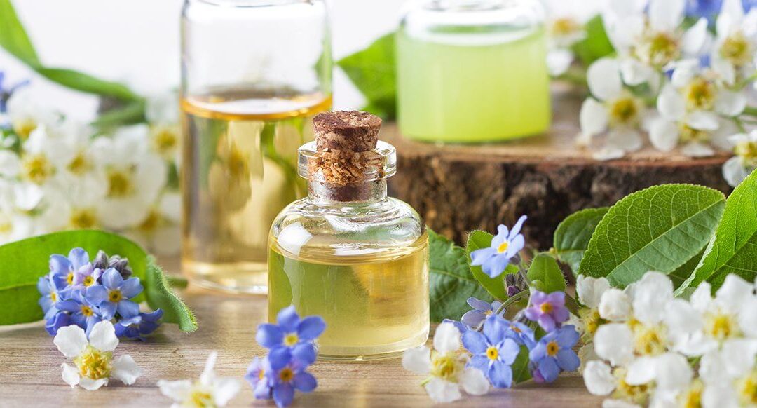 Top 10 des huiles essentielles