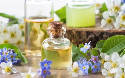 Top 10 des huiles essentielles