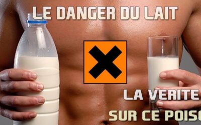 Ostéoporose : le lait de vaches affaiblit vos os
