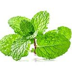 huiles essentielles Namaste Naturo - Coaching Santé et Bien-Être